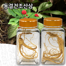 동결건조산삼