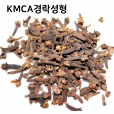 KMCA경락성형